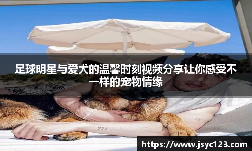 足球明星与爱犬的温馨时刻视频分享让你感受不一样的宠物情缘